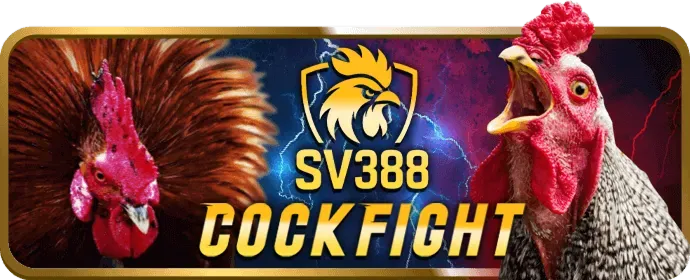Cá cược Thể thao 99v